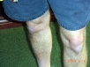 47 S_DSC02508.jpg