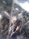 113 S_IM001158.JPG